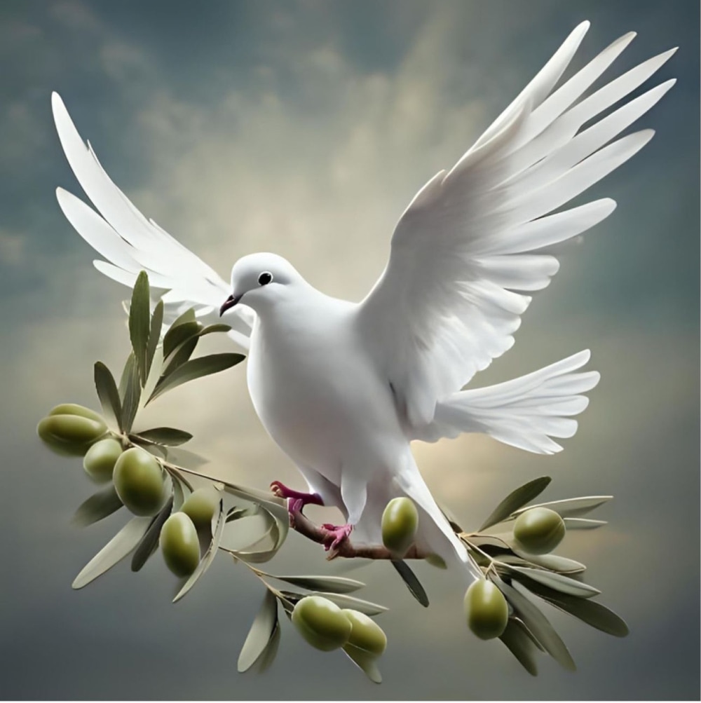 peace_dove.jpg